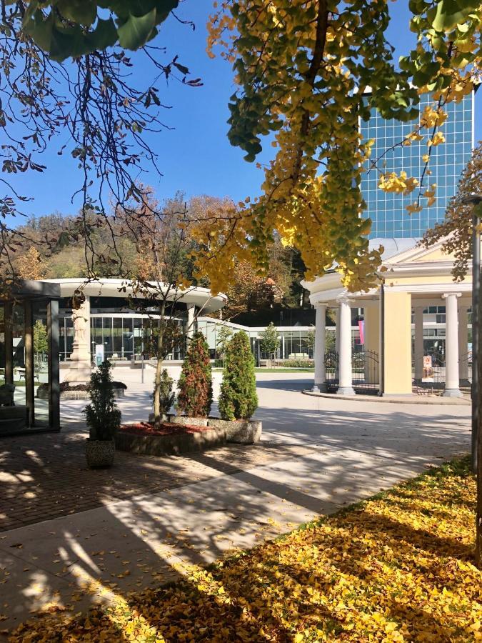 רוגאסקה סלאטינה Apartment Vilapark 14 מראה חיצוני תמונה